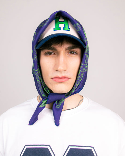 Hero Foulard - Paisley Violet&Green